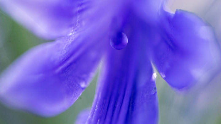 Kansas vs K-State: Player Ratings to the Theme of Colors