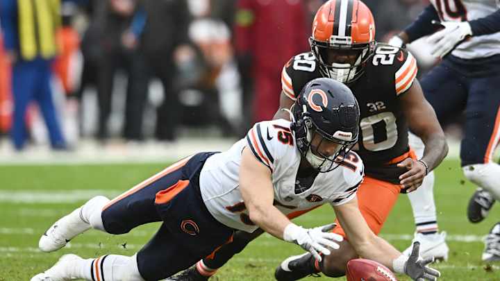 Special Bears Help Anticipated at a Few Spots