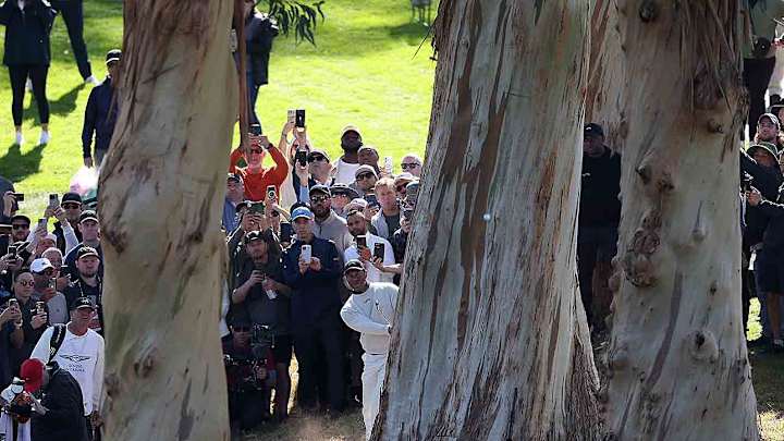 Final-Hole Shank Punctuates Up-and-Down Round for Tiger Woods at Genesis Invitational