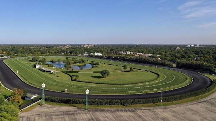 Partial Success for Bears in Tax Review