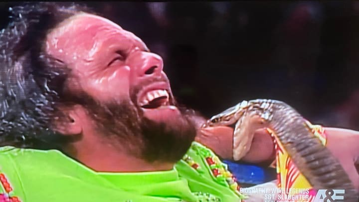 The Inside Story of 'Macho Man' Randy Savage Taking a Snake Bite Is Wild