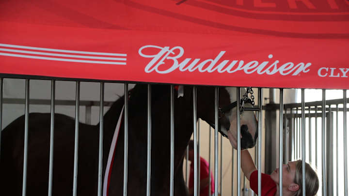 Budweiser Makes Incredible Team-Themed Beer Cans in Advance of 2024 Season