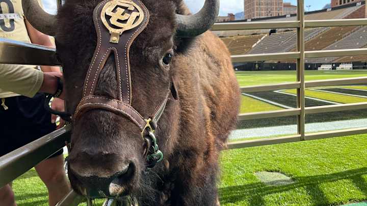 Bob Barker's history with Colorado traced to Ralphie