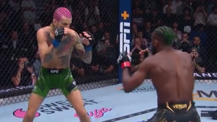 VIDEO: Sean O'Malley Stops Aljamain Sterling In Spectacular Fashion At UFC 292 VIDEO: Sean O'Malley Stops Aljamain Sterling In Spectacular Fashion At UFC 292