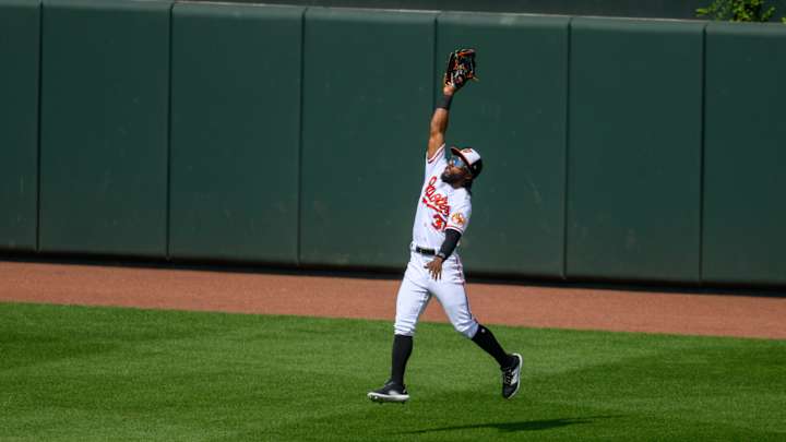 Baltimore Orioles Successfully Relocate Honey Bees That Recently Caused Delay