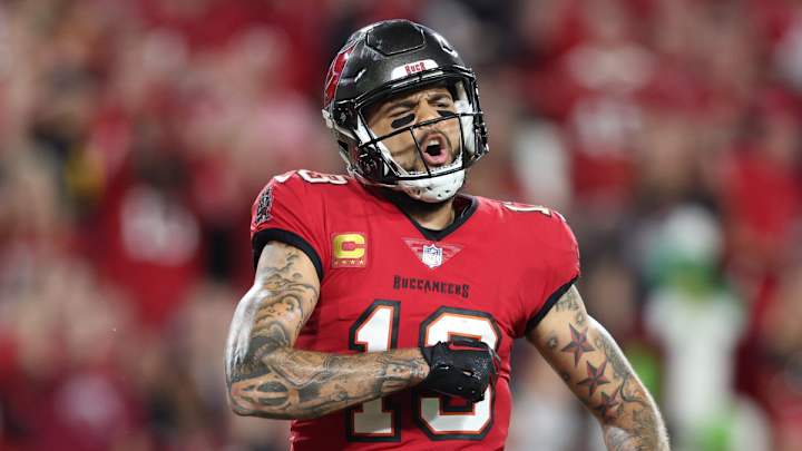 Former Buccaneer Believes Mike Evans Should Play for Detroit Lions