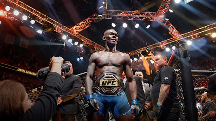 UFC 293 Preview and Predictions