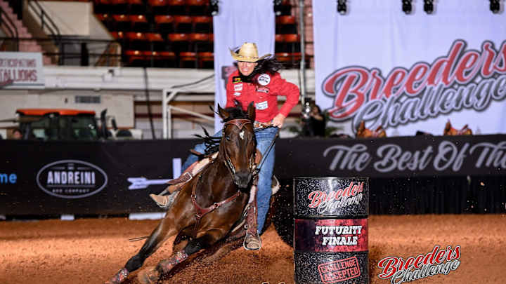 Equine Royalty on Display: Breeders Challenge Finals in Fort Worth