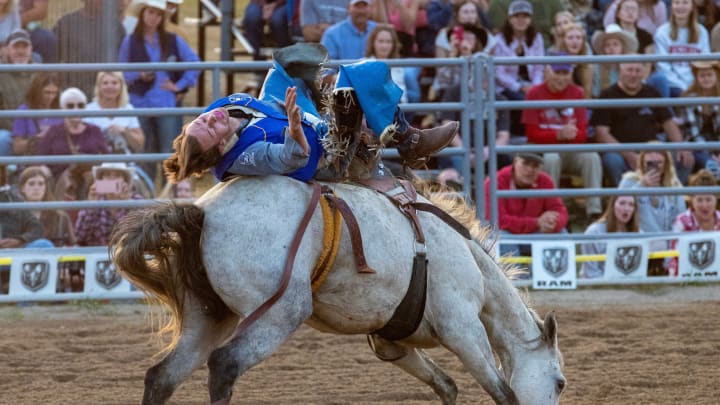 Pendleton Bareback Riding Title Decided By Half-Point Pendleton Bareback Riding Title Decided By Half-Point