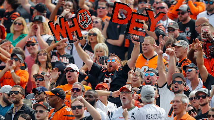 Fan Fight Breaks Out After Ravens Win vs. Bengals