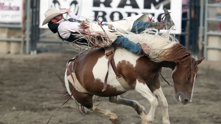 Top-15 Bareback Rider Leads at Springhill Rodeo