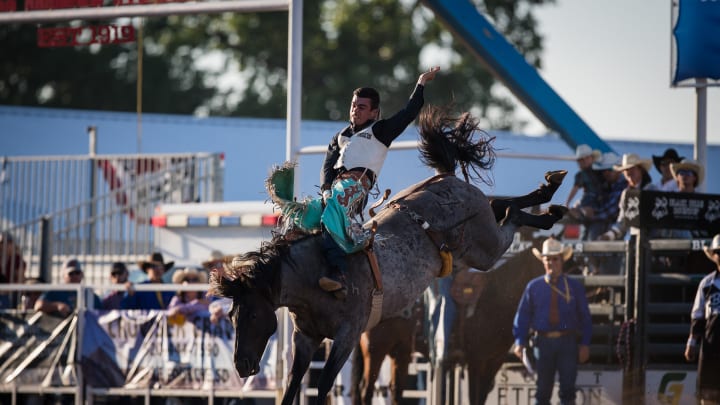Bareback Rider Flirts With Top-15 Ahead of Cinch Playoffs Governor's Cup