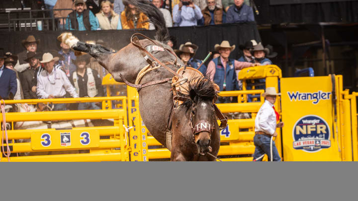 Legendary Stock Contractor Mitch Terrell Passes Away In Tragic Accident