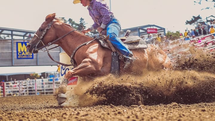 WPRA Barrel Horse of the Year