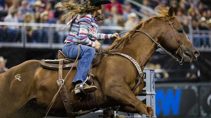 Tonozzi Stallion Changes Hands After Winning Round at Governor's Cup