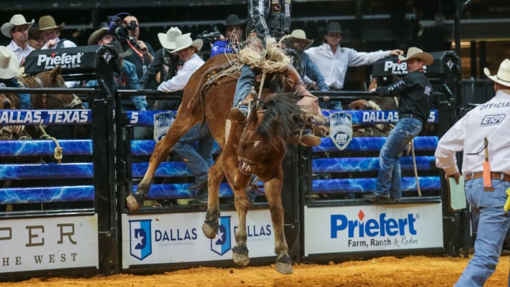 Saddle Bronc Riders Ready For Texas Circuit Finals in Waco