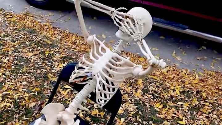 Broncos Fan’s Viral Halloween Display Savages Beleaguered Squad Broncos Fan’s Viral Halloween Display Savages Beleaguered Squad