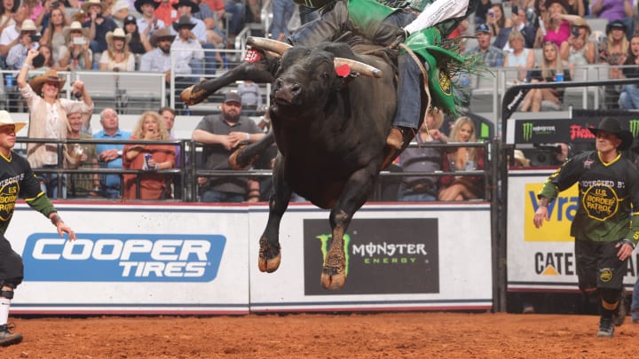 Big Black, a Money Bull who Acted like a Big Pet, Retires