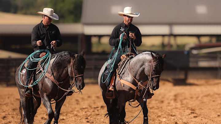 How Solo Select Horses Came To Be How Solo Select Horses Came To Be