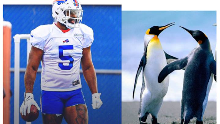 Leonard Fournette Signs With Bills, Compares Buffalo Cold Weather To 'Penguin's (Butt)!'