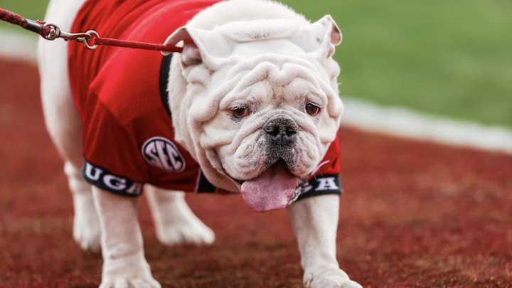 Georgia Bulldogs Already Starting Offseason Workouts Georgia Bulldogs Already Starting Offseason Workouts