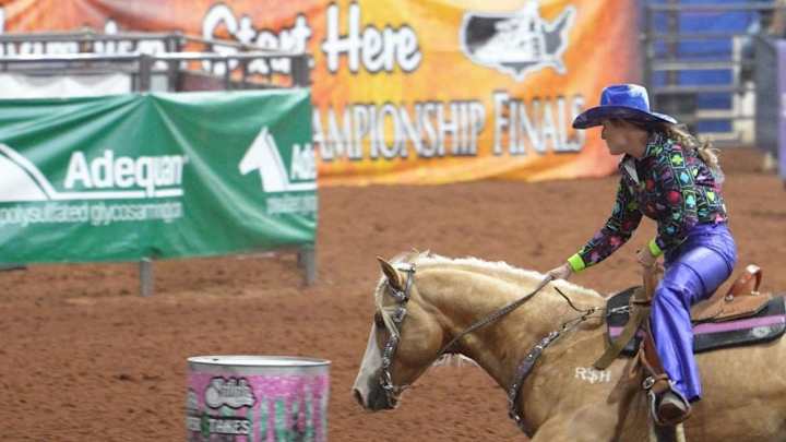 Adios Pantalones Attempting Incredible Feat Few Other Stallions Have Done Adios Pantalones Attempting Incredible Feat Few Other Stallions Have Done