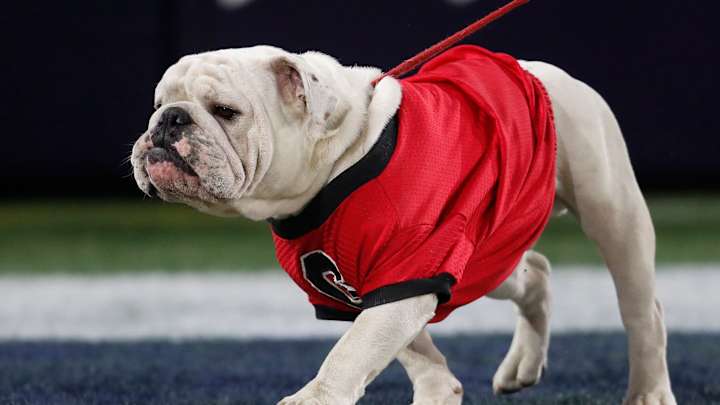 Georgia Beats Georgia Tech to Break Alabama's SEC Record for Most Consecutive Wins Georgia Beats Georgia Tech to Break Alabama's SEC Record for Most Consecutive Wins