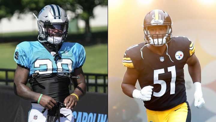 Steelers Could Add New Vets to Defense