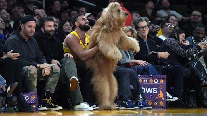 Famous Dog Stole the Show While Sitting Court-Side at Knicks-Lakers Game
