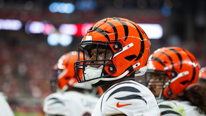 Myles Murphy Growing Each Week as Bengals Fight For Playoff Spot: 'Stacking Pennies'