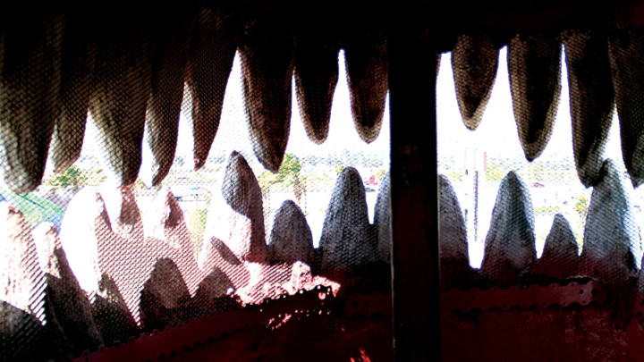 How Dinosaurs, Shark-Toothed Elephants, Puff Paint Led to Razorback Glory How Dinosaurs, Shark-Toothed Elephants, Puff Paint Led to Razorback Glory