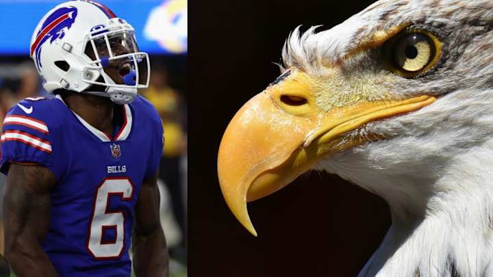 Crazy Rumor: Did Bills Ex Get NFL Suspension for Killing a Bald Eagle?