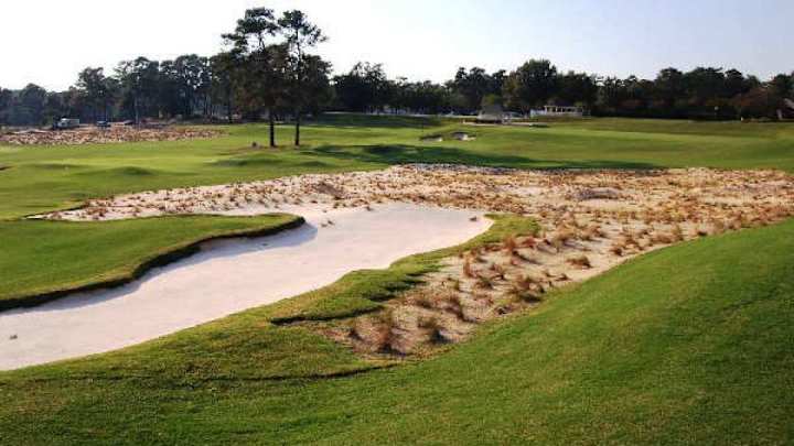 The Cradle does rock