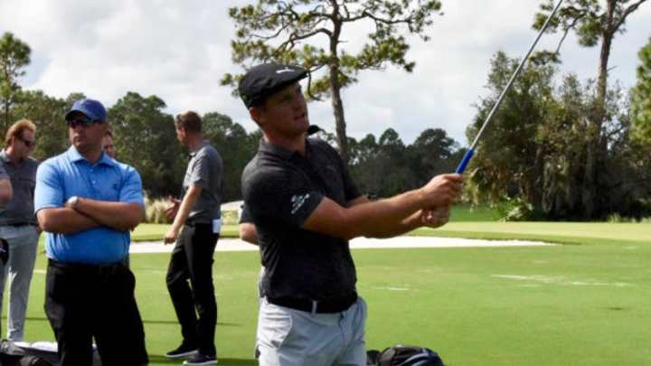 Cobra doubles down on singular concept