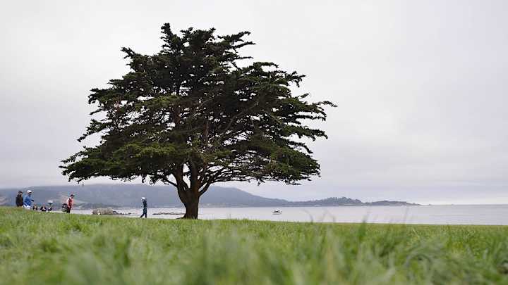 Golf Should Look Outside the Game for Worthy Charities as the Signs are Everywhere We Need It