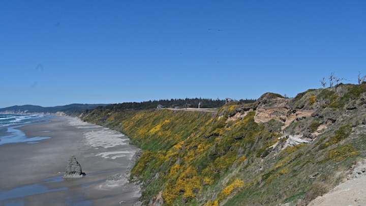 Sheep Ranch: What was and will be Sheep Ranch: What was and will be