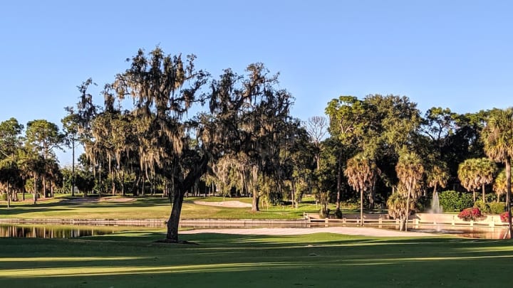 El Campeon lives into its championship name El Campeon lives into its championship name