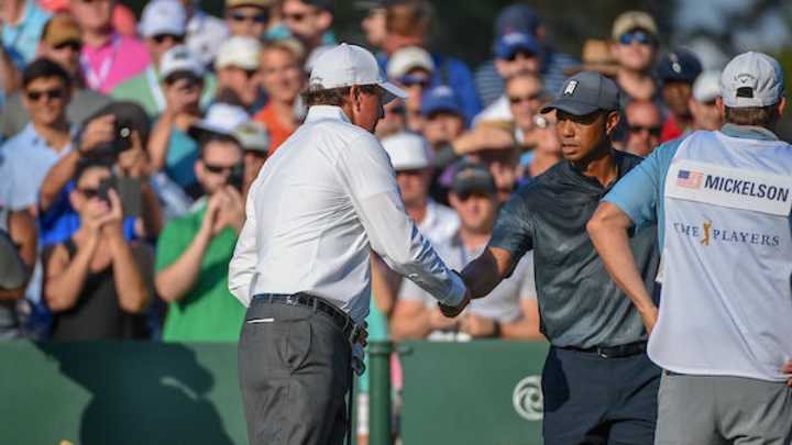 Mickelson, Woods win another Ryder shot