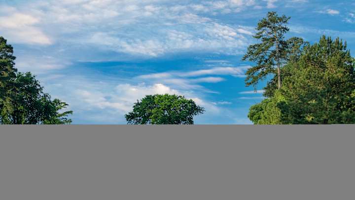 Why Kingsmill's Courses Are Anything but Vanilla Why Kingsmill's Courses Are Anything but Vanilla