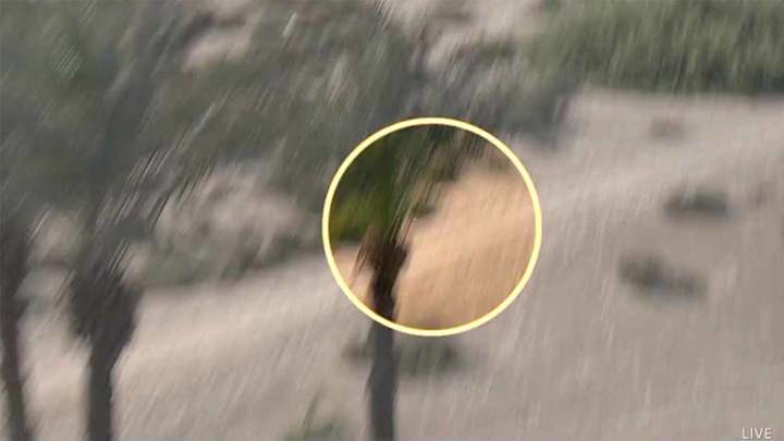 Slow-Motion Video Fuels Patrick Reed Penalty Controversy in Dubai