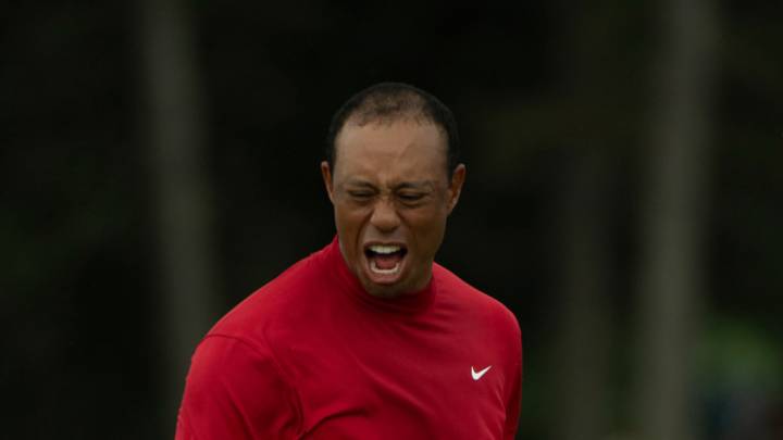 TigerMania elevates season in major way TigerMania elevates season in major way