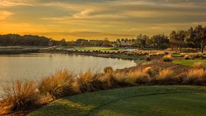Golf Course Review: Tiburón Golf Club [Gold Course] | 8.2 Score