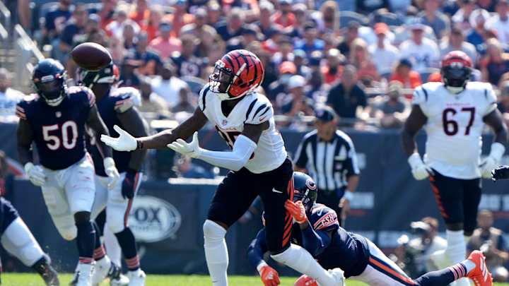 Bears Could Use Tee Higgins or Other Targets