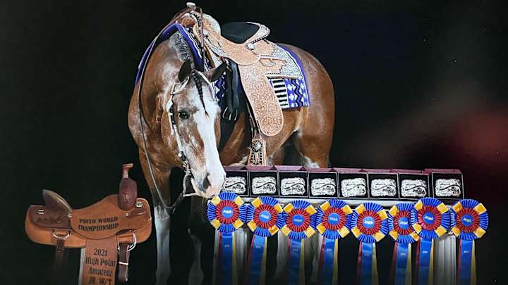 Western Pleasure to Futurity Champ: Mancinelli-Lear Dominates Dinosaur Classic