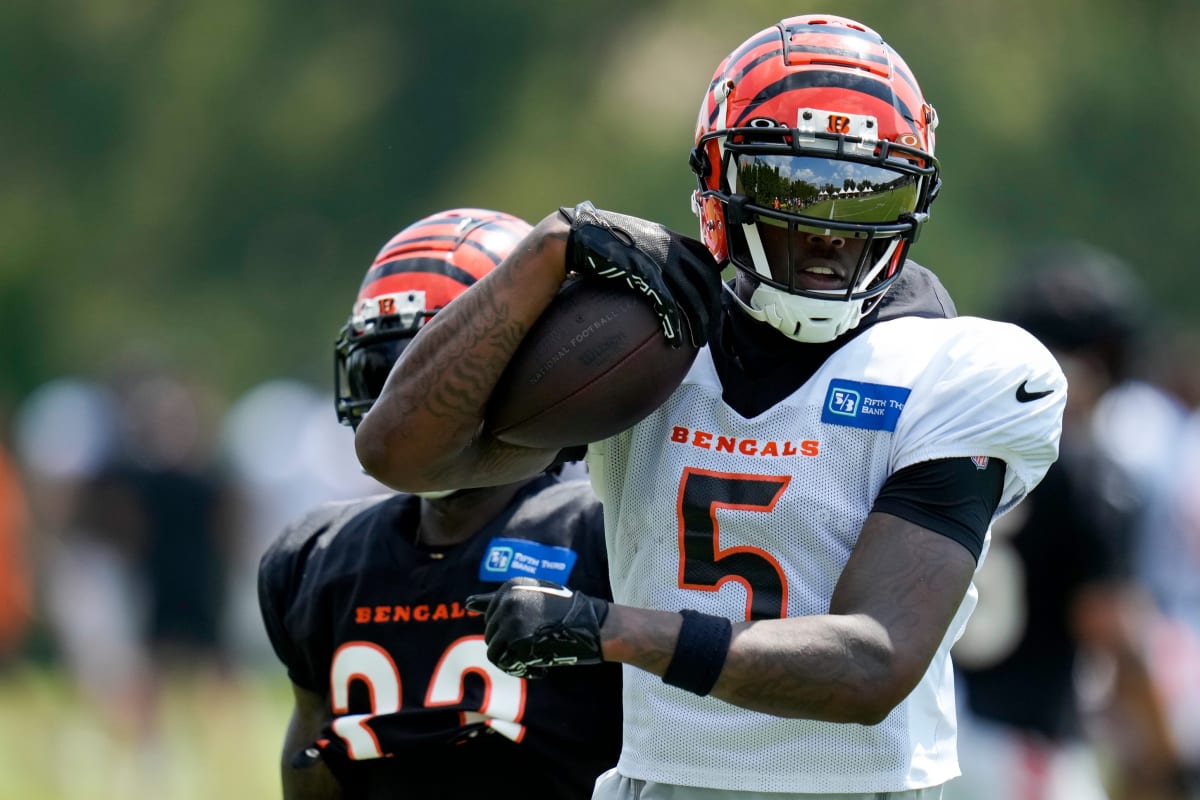 Bengals WR Tee Higgins, DE Sam Hubbard out for Sunday's game, WR