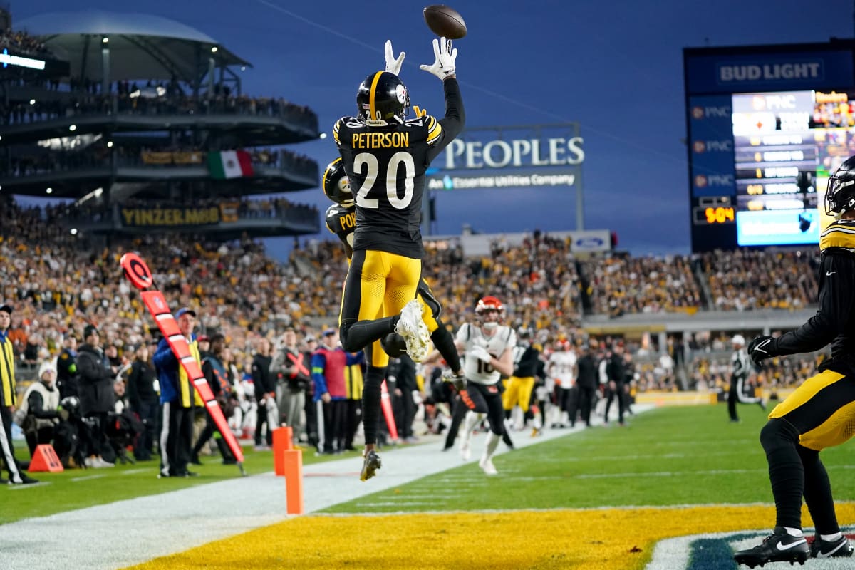 Steelers Cut Patrick Peterson; Should Cowboys Sign? - BVM Sports