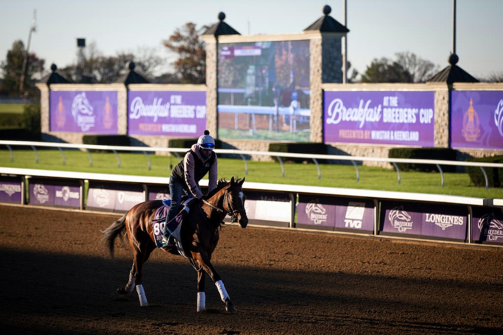 Friday Breeders’ Cup Highlighted Spotlight: Juvenile Turf Sprint
