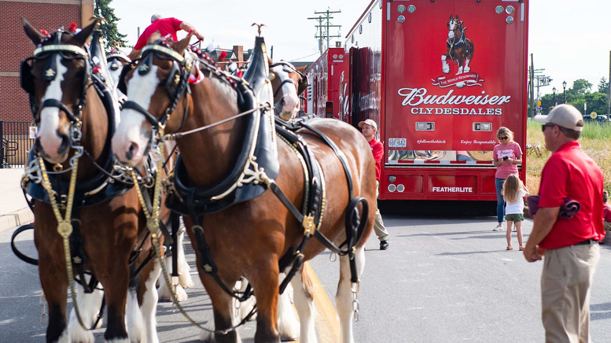 The Most Memorable Commercials in Super Bowl History