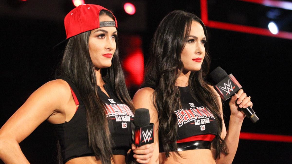 WWE’s Nikki and Brie Bella Are Both Pregnant