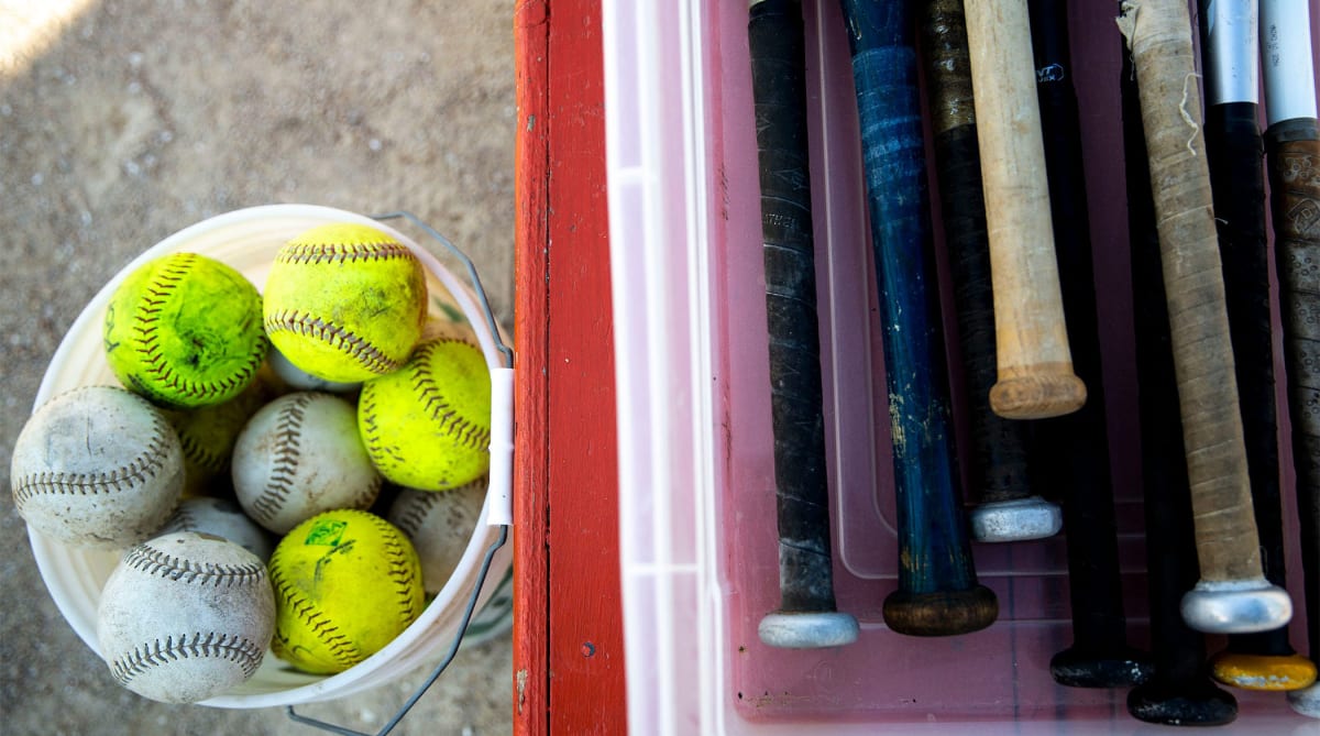 Video of Parrots Invading College Softball Game Goes Viral WKKY